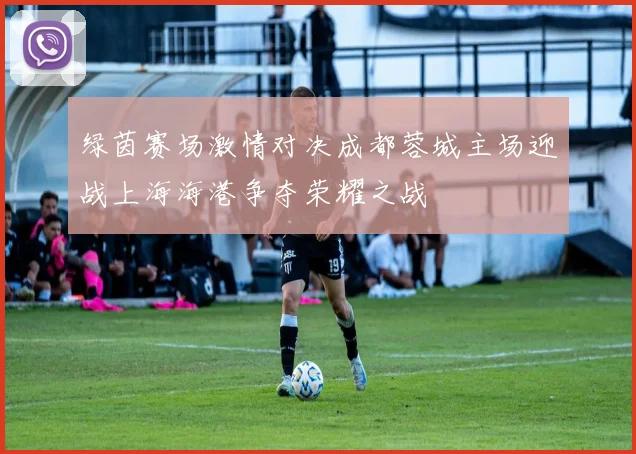 绿茵赛场激情对决成都蓉城主场迎战上海海港争夺荣耀之战
